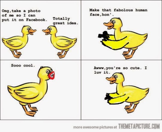 funny-ducks-taking-pictures-duckface